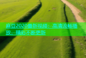 麻豆2020最新视频：高清流畅播放，精彩不断更新