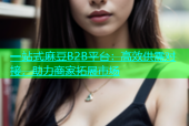 一站式麻豆B2B平台：高效供需对接，助力商家拓展市场