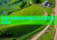 麻豆拍视频卖给谁揭秘平台买家与变现渠道