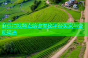 麻豆拍视频卖给谁揭秘平台买家与变现渠道