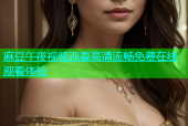 麻豆午夜视频观看高清流畅免费在线观看体验