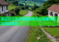 麻豆拍了多少视频揭秘平台海量内容与高效搜索