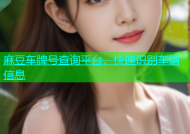 麻豆车牌号查询平台，快速识别车辆信息