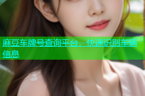 麻豆车牌号查询平台，快速识别车辆信息