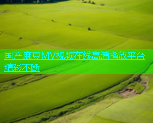 国产麻豆MV视频在线高清播放平台精彩不断  第1张