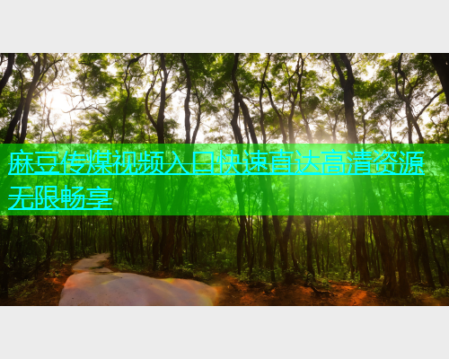 麻豆传煤视频入口快速直达高清资源无限畅享  第1张