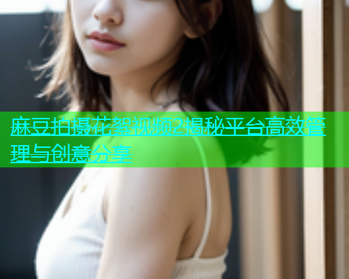 麻豆拍摄花絮视频2揭秘平台高效管理与创意分享  第1张