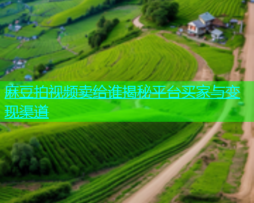 麻豆拍视频卖给谁揭秘平台买家与变现渠道  第1张