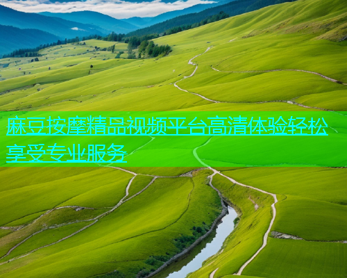 麻豆按摩精品视频平台高清体验轻松享受专业服务  第1张